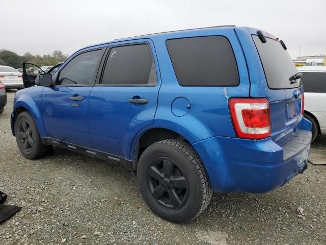 2011 Ford Escape XLT