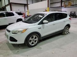 Salvage cars for sale at Lawrenceburg, KY auction: 2016 Ford Escape SE