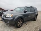 2010 Honda Pilot EXL