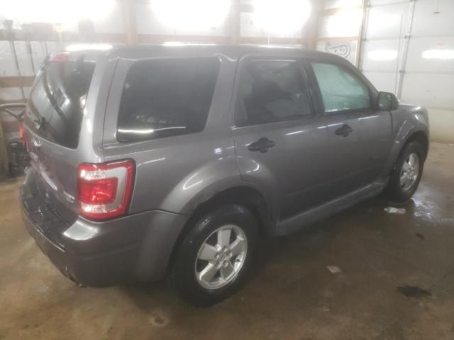 2010 Ford Escape XLS