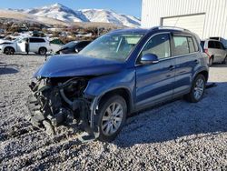 Volkswagen Tiguan s salvage cars for sale: 2010 Volkswagen Tiguan S