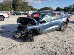 Salvage cars for sale at Ocala, FL auction: 2020 Ford Escape Titanium