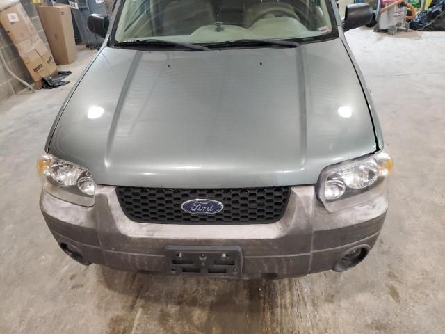 2005 Ford Escape XLT