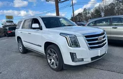 Cadillac salvage cars for sale: 2016 Cadillac Escalade Premium