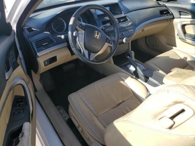 2011 Honda Accord EXL