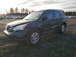 Vehiculos salvage en venta de Copart Finksburg, MD: 2010 Honda CR-V EXL