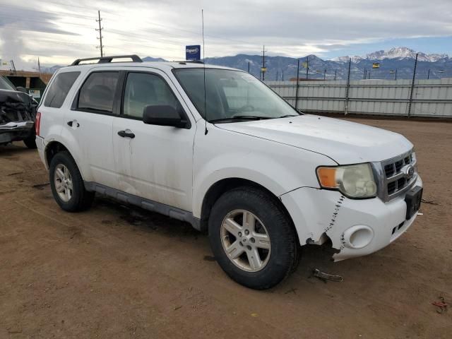 2011 Ford Escape XLT