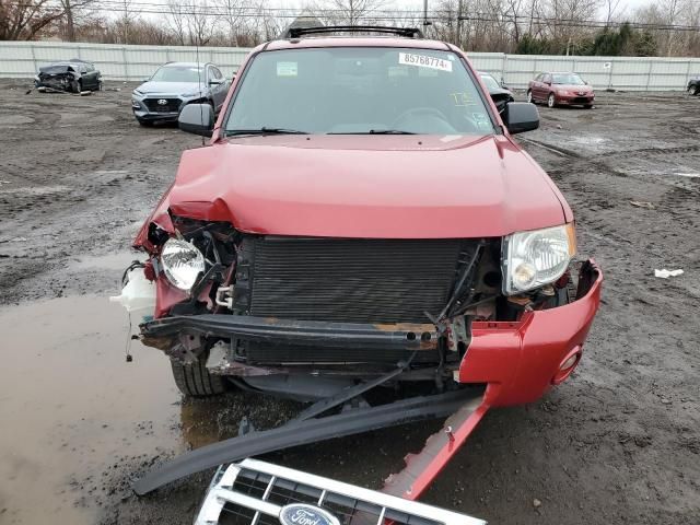 2009 Ford Escape XLT