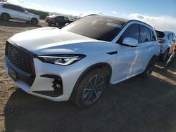 2023 Infiniti QX50 Sport en venta en Brighton, CO