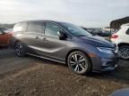 2020 Honda Odyssey Elite