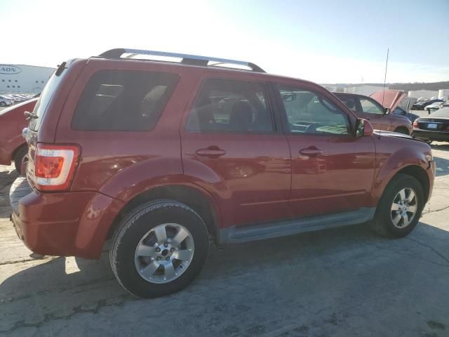 2011 Ford Escape Limited