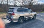 2020 Lexus LX 570