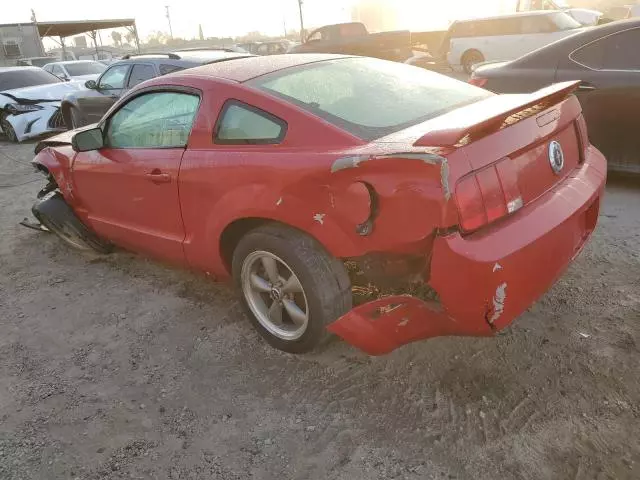 2006 Ford Mustang