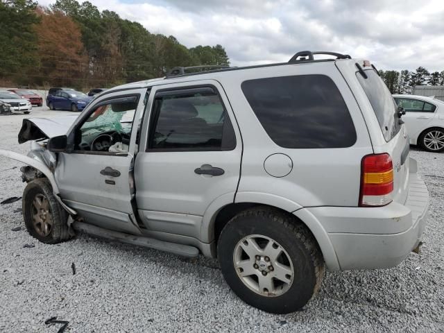 2007 Ford Escape XLT