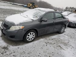 2010 Toyota Corolla Base en venta en Windsor, NJ