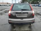 2010 Honda CR-V LX