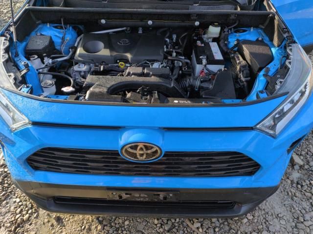 2019 Toyota Rav4 XLE