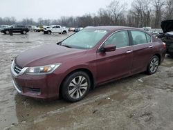 Salvage cars for sale from Copart Ellwood City, PA: 2013 Honda Accord LX