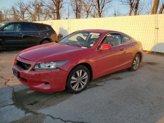 2010 Honda Accord EXL