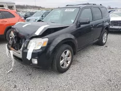 Salvage cars for sale at Earlington, KY auction: 2011 Mercury Mariner Premier