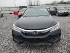 2017 Honda Accord EX