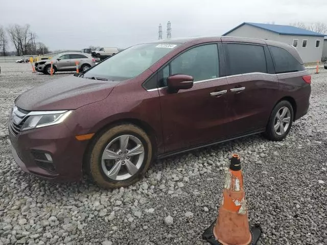 2019 Honda Odyssey EXL