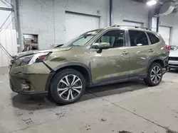 2023 Subaru Forester Limited en venta en Ham Lake, MN