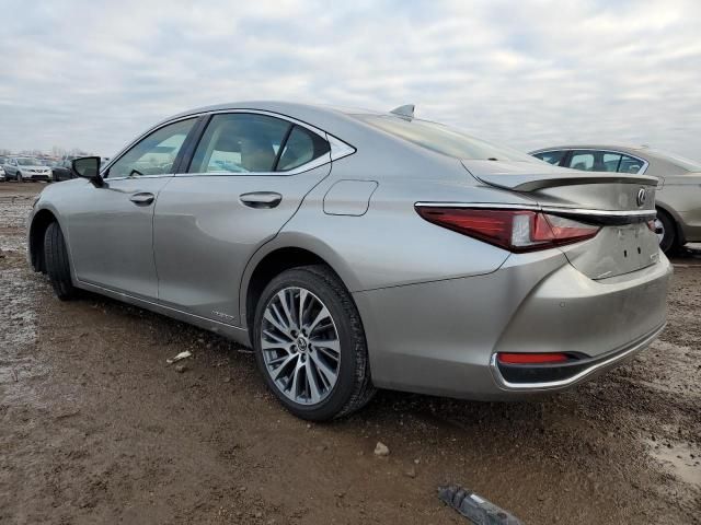 2019 Lexus ES 300H