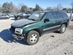 2003 Chevrolet Trailblazer