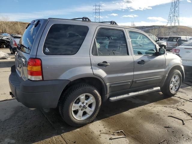 2007 Ford Escape XLT