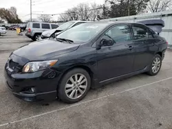 Salvage cars for sale at Moraine, OH auction: 2010 Toyota Corolla Base