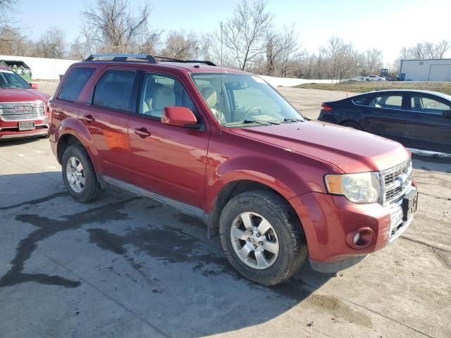 2012 Ford Escape Limited