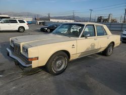 Vehiculos salvage en venta de Copart Sun Valley, CA: 1981 Dodge Diplomat Special