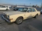 1981 Dodge Diplomat Special