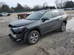 Toyota salvage cars for sale: 2022 Toyota Rav4 XLE