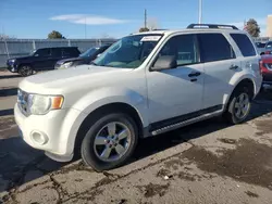 Salvage cars for sale at Littleton, CO auction: 2010 Ford Escape XLT