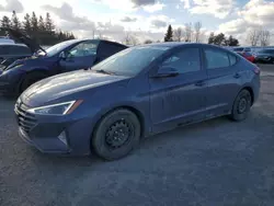 2019 Hyundai Elantra SEL en venta en Bowmanville, ON