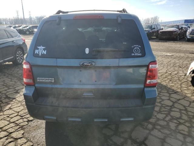 2010 Ford Escape XLT