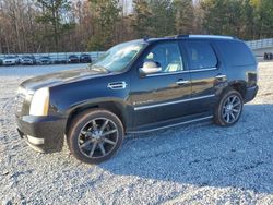 Cadillac salvage cars for sale: 2009 Cadillac Escalade Luxury