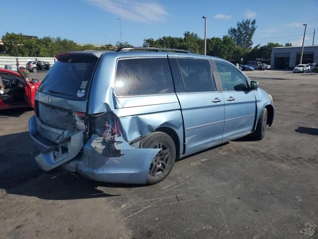 2005 Honda Odyssey EXL