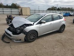 Ford Focus Vehiculos salvage en venta: 2016 Ford Focus SE