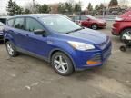 2015 Ford Escape S