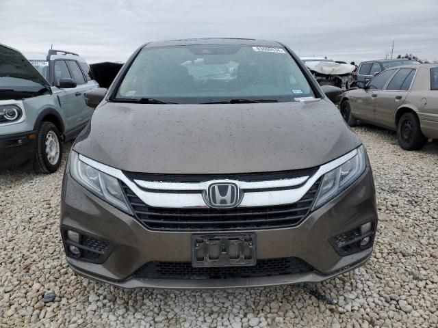 2019 Honda Odyssey EXL