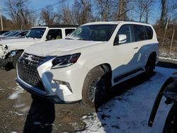 Lexus gx salvage cars for sale: 2023 Lexus GX 460