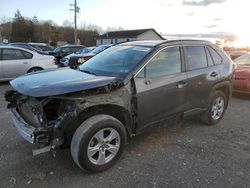 Carros salvage a la venta en subasta: 2020 Toyota Rav4 XLE