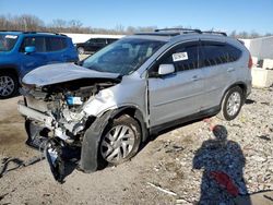 Salvage cars for sale at Louisville, KY auction: 2015 Honda CR-V EXL