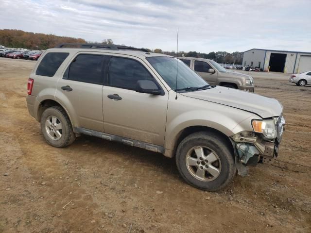 2010 Ford Escape XLT