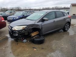 Salvage cars for sale at Louisville, KY auction: 2014 Ford Focus SE