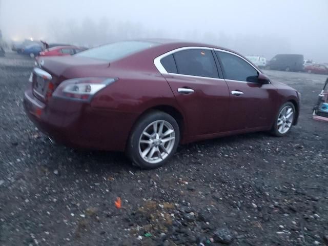 2013 Nissan Maxima S