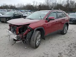 Toyota rav4 xle Premium salvage cars for sale: 2024 Toyota Rav4 XLE Premium